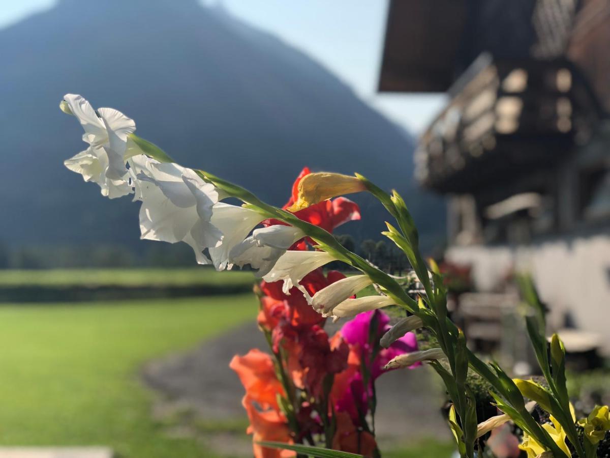Neukirchen am Großvenediger德雷尔旅馆公寓 外观 照片