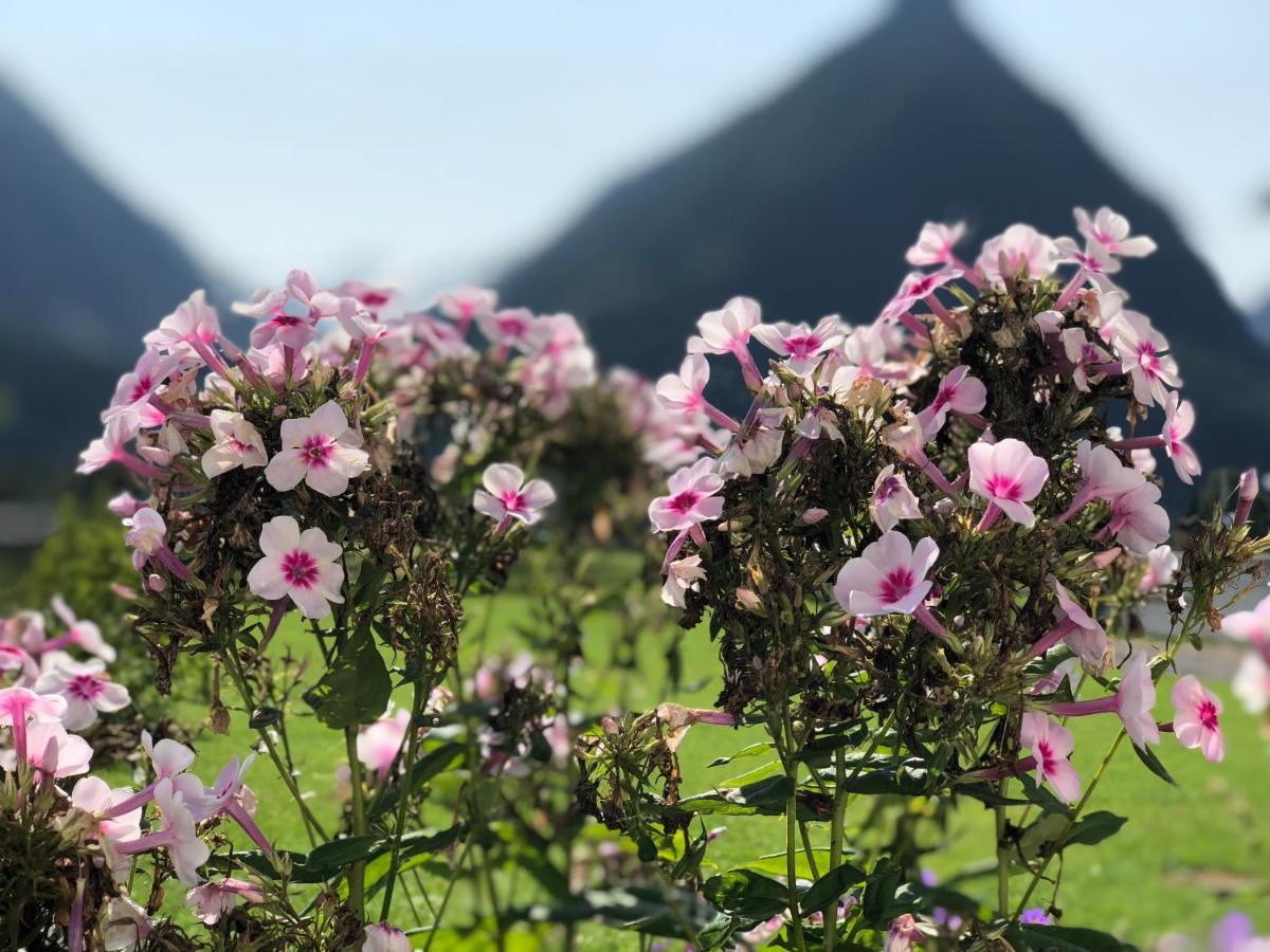 Neukirchen am Großvenediger德雷尔旅馆公寓 外观 照片